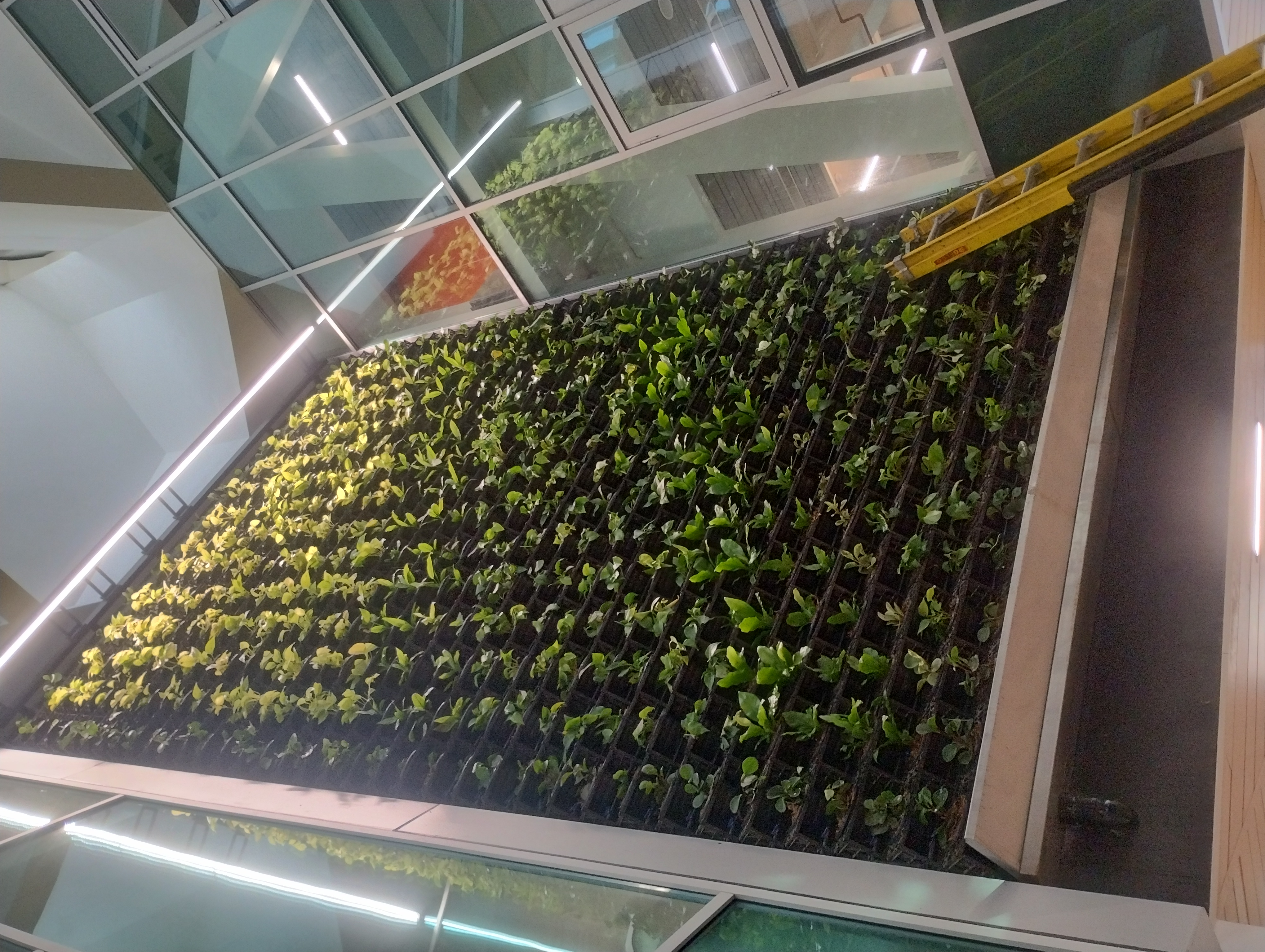 JARDINES VERTICALES